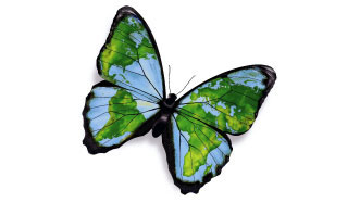 Butterfly - the graphic from the Cambridge Primary Global Perspectives resources
