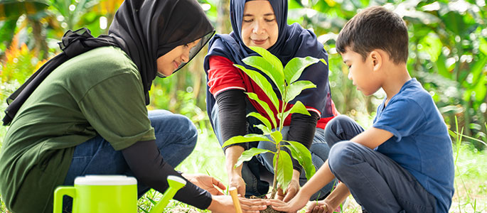 People planting