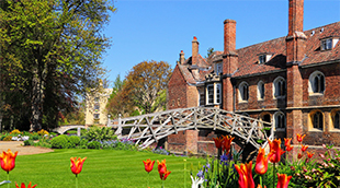 University of Cambridge's captivating spring morning outdoors