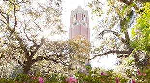 University of Florida embracing the vibrant season