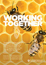 Cambridge PDQ working together poster