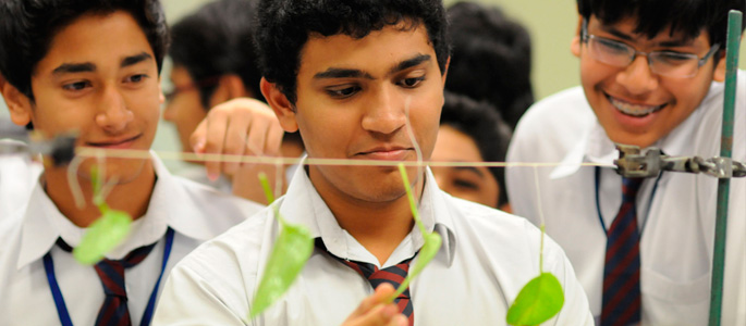Cambridge O Level 14 16 Year Olds International Qualification